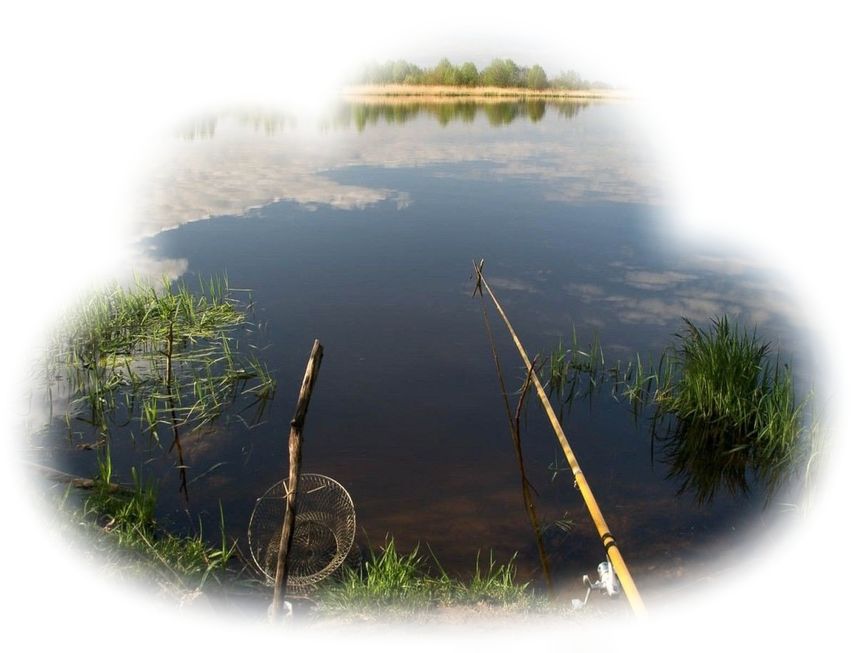 К чему снится рыбалка значение сна.