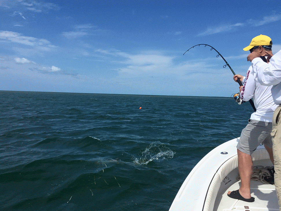 Что делал отец во сне