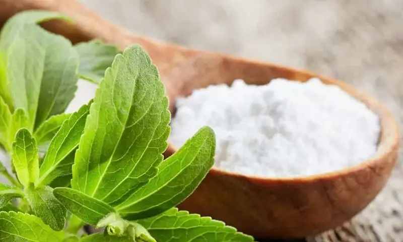 Стевия: натуральный подсластитель