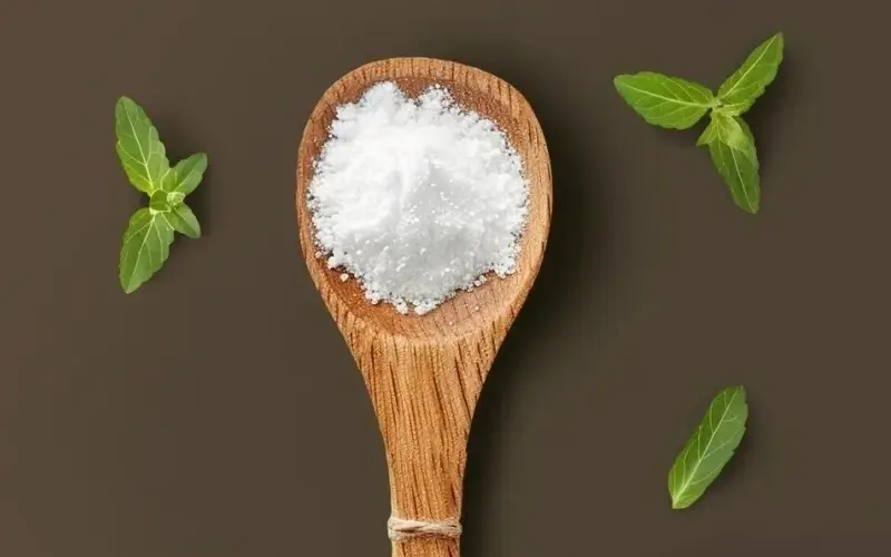 Стевия: натуральный подсластитель